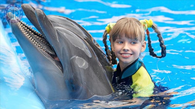 Swim With Dolphins Marmaris8