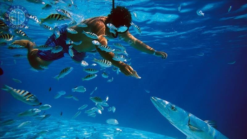 Snorkelen Kargicak0