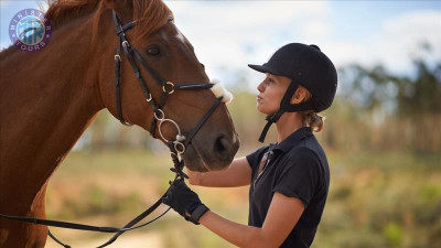 Équitation à Alanya