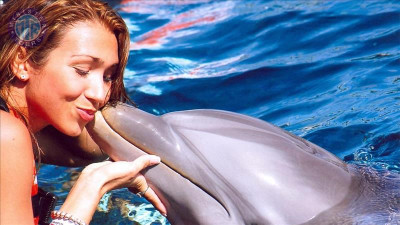 Plaukiojimas su delfinais Beleke