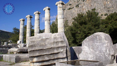 Senoviniai Prienės, Mileto ir Didimo miestai iš Izmiro