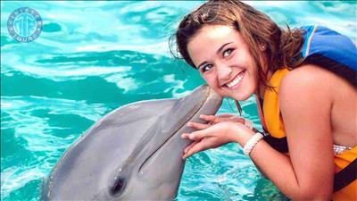 Swim with dolphins Turkey
